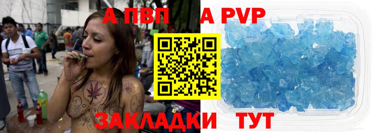 APVP СК Великий Устюг