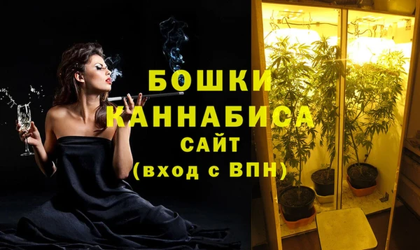 дмт Богородск