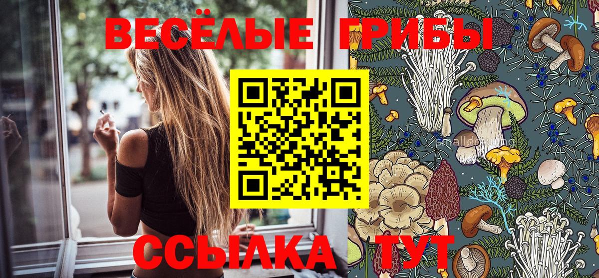 Галлюциногенные грибы ЛСД Великий Устюг
