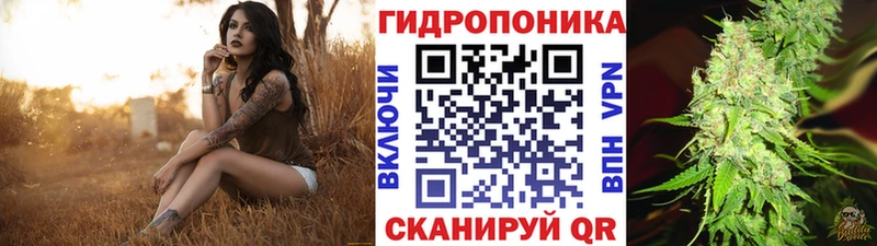Шишки марихуана сатива Великий Устюг