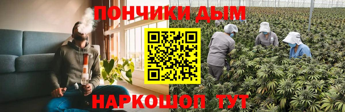 Канабис семена  Вход с VPN  Бошки марихуана тримм  Великий Устюг 